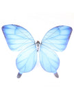 Butterfly Flying Device