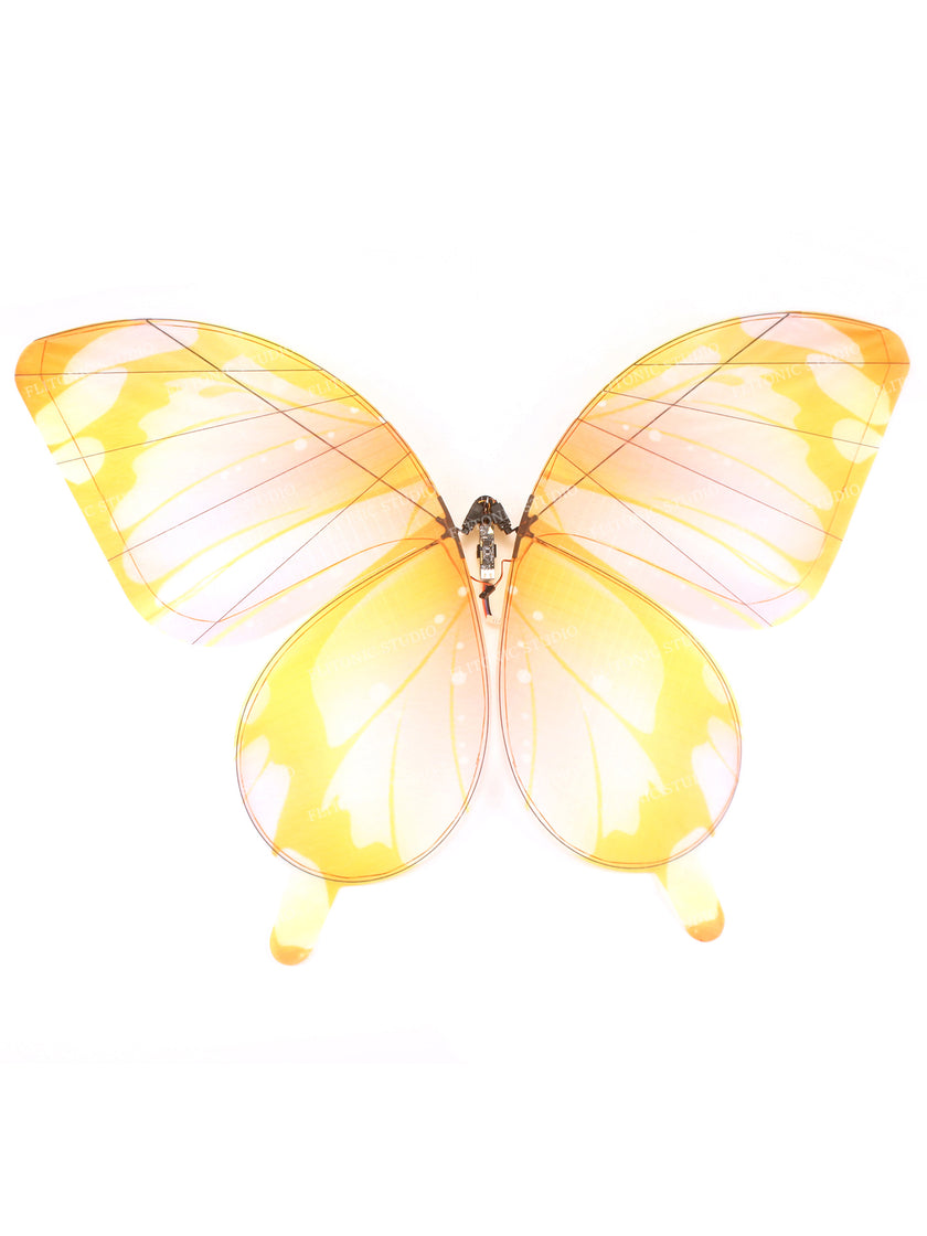Butterfly Flying Device