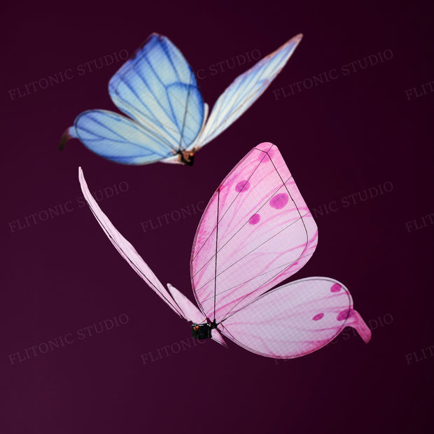 Bionic butterfly aircraft 2