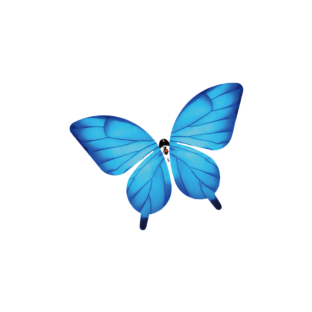 Butterfly Flying Device