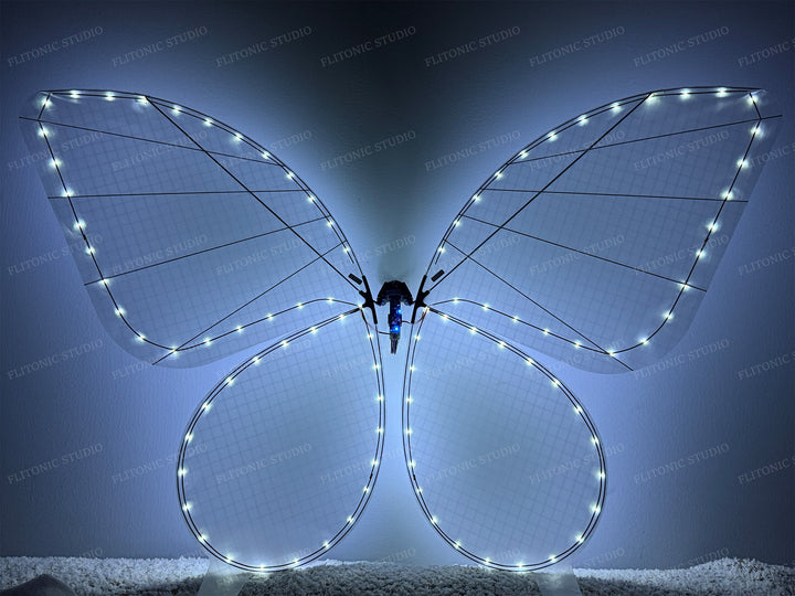 Customised Bionic Butterfly aircraft