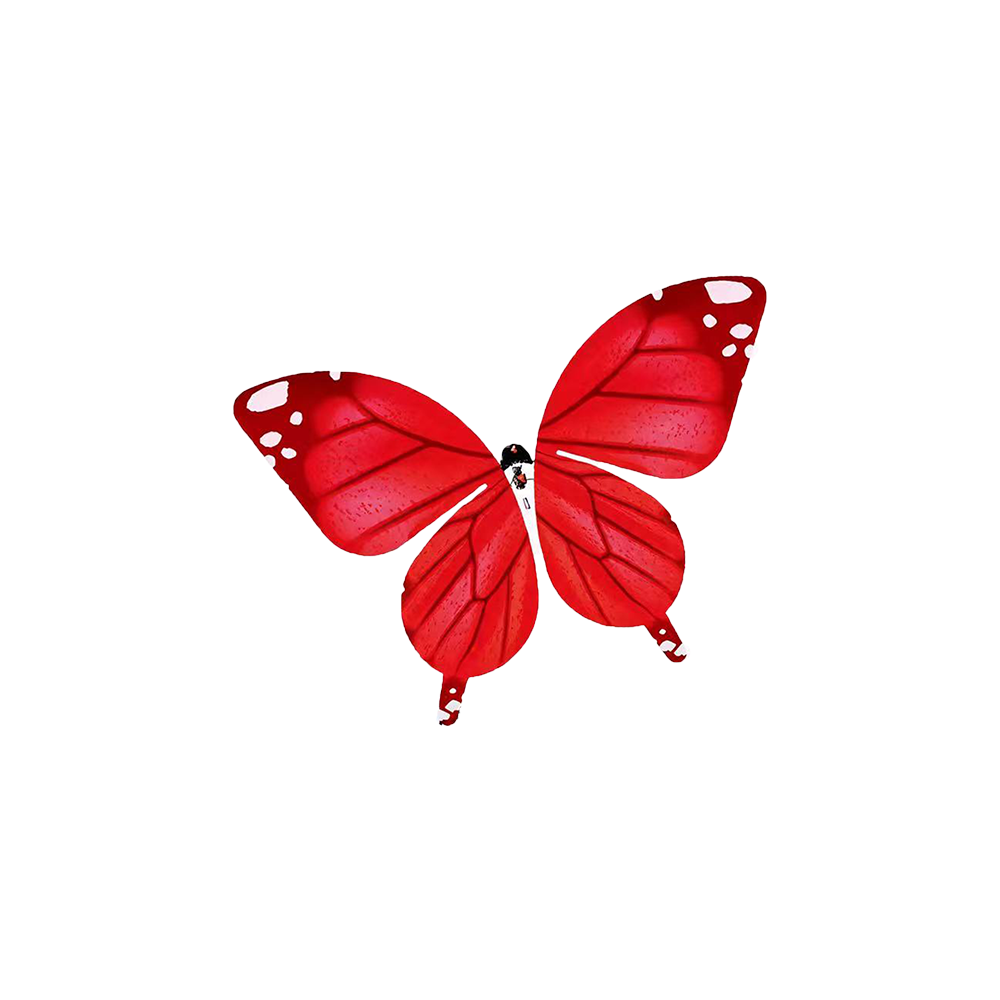 Butterfly Flying Device