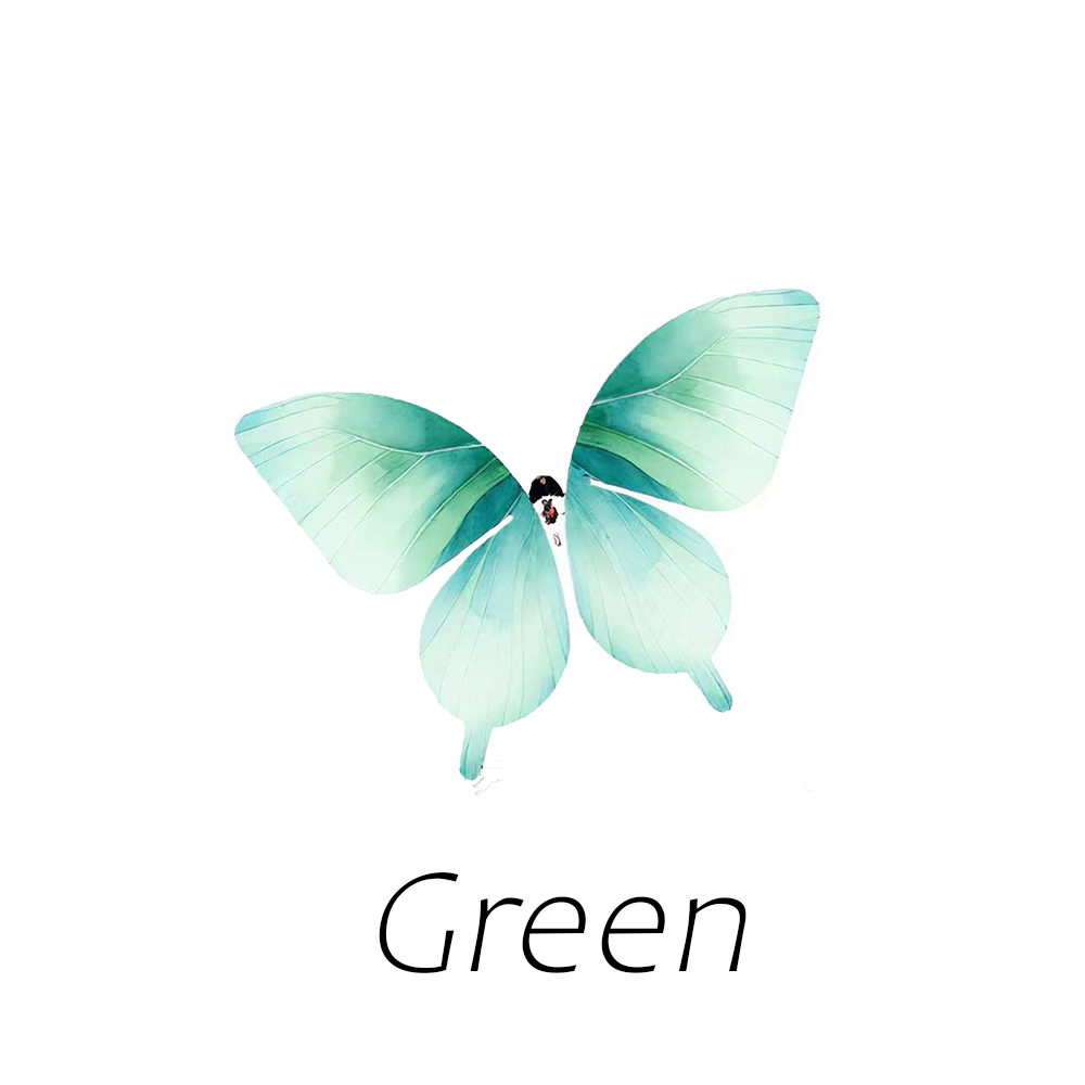 Butterfly Flying Device